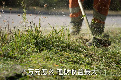 5萬(wàn)塊錢(qián)怎樣投資理財(cái),20萬(wàn)銀行投資理財(cái)有多少錢(qián)