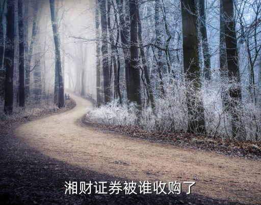 湘財(cái)證券被誰收購了