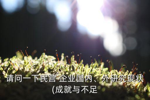 請(qǐng)問(wèn)一下民營(yíng) 企業(yè)國(guó)內(nèi)、外研究現(xiàn)狀(成就與不足