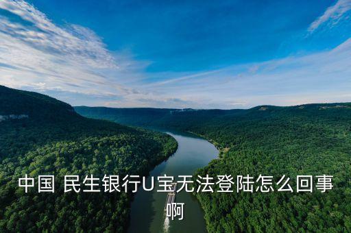 中國(guó) 民生銀行U寶無(wú)法登陸怎么回事啊