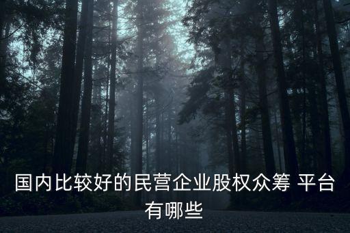 國(guó)內(nèi)比較好的民營(yíng)企業(yè)股權(quán)眾籌 平臺(tái)有哪些