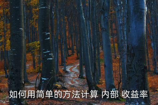 如何用簡單的方法計(jì)算 內(nèi)部 收益率