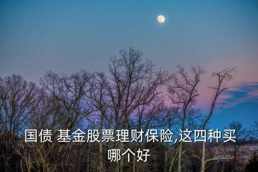 日興中國(guó)國(guó)債基金