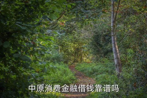 中原消費(fèi)金融借錢(qián)靠譜嗎