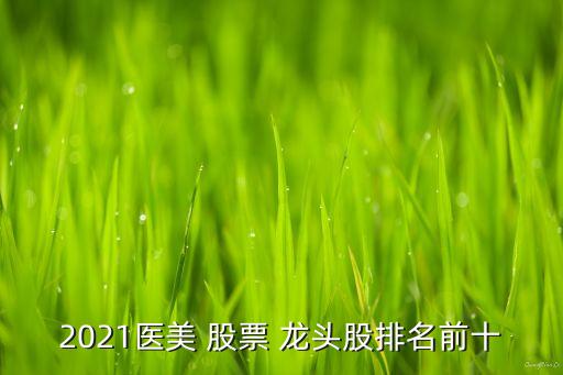 大健康股票龍頭,健康產業(yè)股票龍頭有幾只