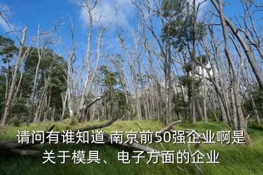 請問有誰知道 南京前50強企業(yè)啊是關(guān)于模具、電子方面的企業(yè)