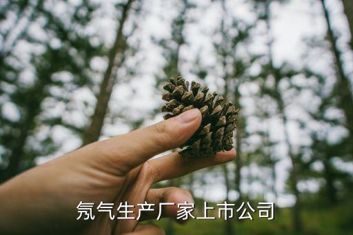 氖氣生產(chǎn)廠家上市公司