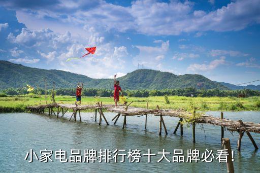 中國(guó)家用電器100強(qiáng),家用電器的英語(yǔ)單詞100個(gè)