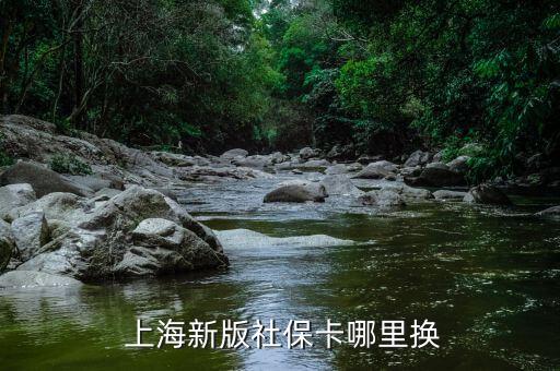  上海新版社?？睦飺Q