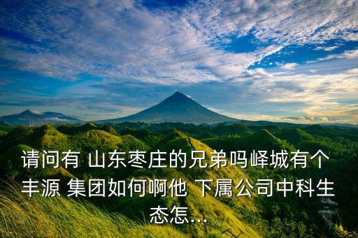 請問有 山東棗莊的兄弟嗎嶧城有個 豐源 集團(tuán)如何啊他 下屬公司中科生態(tài)怎...