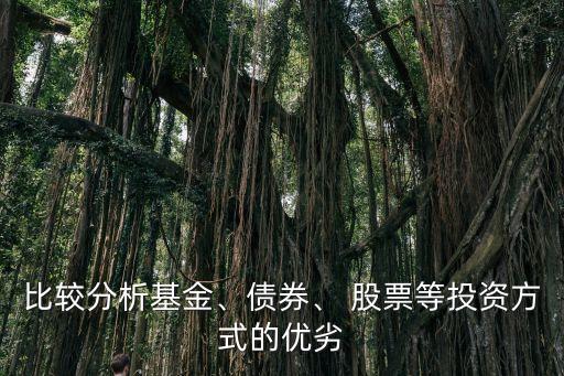 比較分析基金、債券、 股票等投資方式的優(yōu)劣