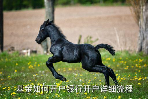 手機(jī)基金個人理財申請,基金投資對個人理財?shù)囊饬x