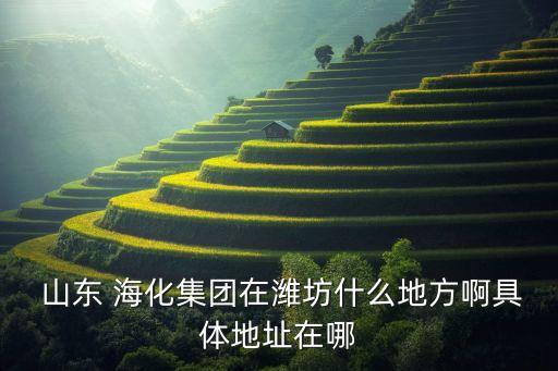 山東?；⑴d化工有限公司,濰坊盛興化工有限公司