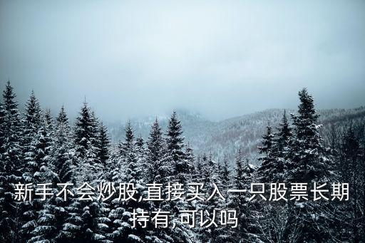 新手不會(huì)炒股,直接買(mǎi)入一只股票長(zhǎng)期 持有,可以嗎