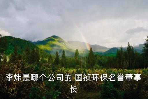 李煒是哪個公司的 國禎環(huán)保名譽(yù)董事長