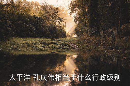 上海國(guó)資委主任孔慶偉