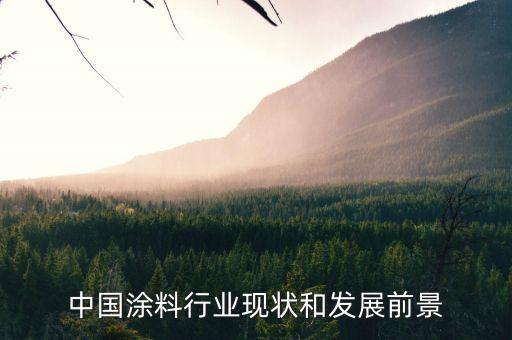 中國(guó)涂料行業(yè)現(xiàn)狀和發(fā)展前景