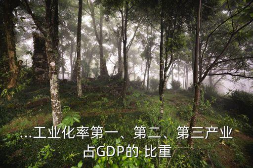...工業(yè)化率第一、第二、第三產(chǎn)業(yè)占GDP的 比重