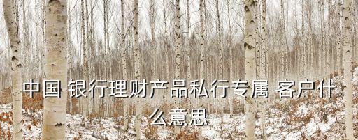 中國(guó) 銀行理財(cái)產(chǎn)品私行專(zhuān)屬 客戶(hù)什么意思