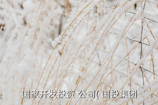 國(guó)家開發(fā)投資 公司( 國(guó)投集團(tuán)