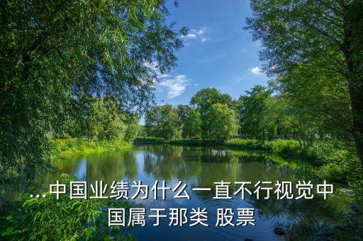 ...中國(guó)業(yè)績(jī)?yōu)槭裁匆恢辈恍幸曈X(jué)中國(guó)屬于那類 股票