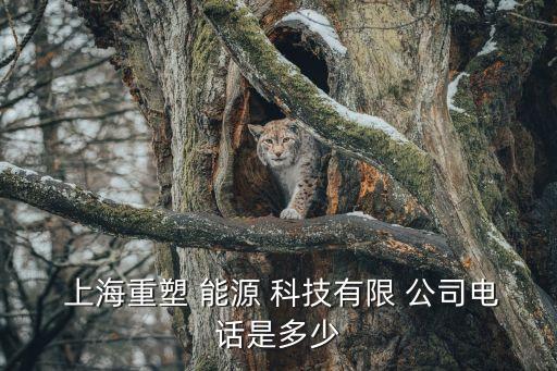  上海重塑 能源 科技有限 公司電話(huà)是多少