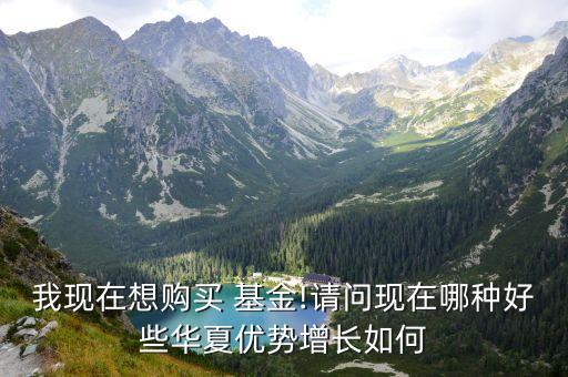 我現(xiàn)在想購(gòu)買 基金!請(qǐng)問(wèn)現(xiàn)在哪種好些華夏優(yōu)勢(shì)增長(zhǎng)如何