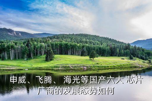 申威、飛騰、 海光等國產(chǎn)六大 芯片廠商的發(fā)展態(tài)勢如何
