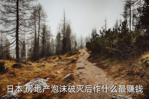 房地產崩盤后下個投資行業(yè)