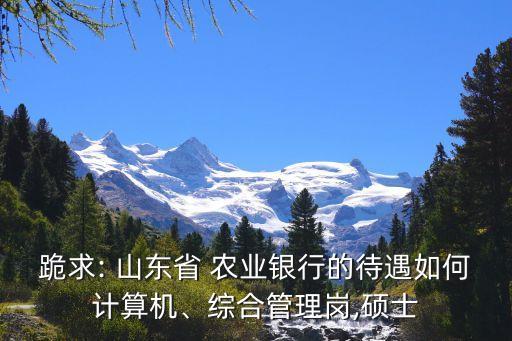 跪求: 山東省 農(nóng)業(yè)銀行的待遇如何計(jì)算機(jī)、綜合管理崗,碩士