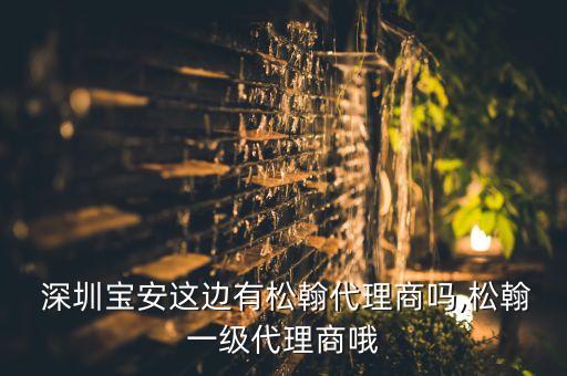  深圳寶安這邊有松翰代理商嗎,松翰一級(jí)代理商哦