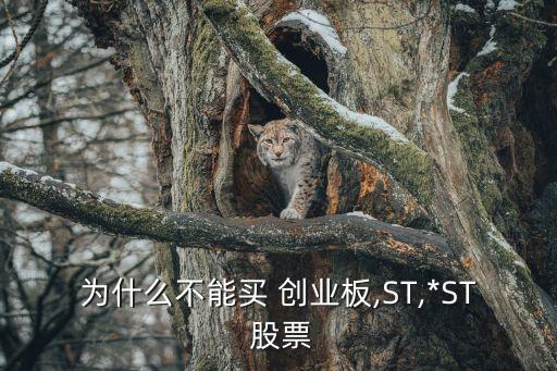 為什么不可以買(mǎi)創(chuàng)業(yè)板股票,股票為什么不可以當(dāng)天賣(mài)