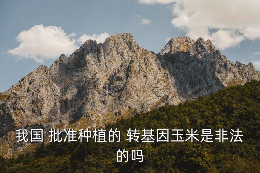 我國 批準種植的 轉基因玉米是非法的嗎