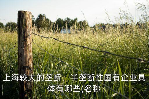 上海良友集團房產(chǎn)開發(fā)項目,龍創(chuàng)集團房產(chǎn)開發(fā)項目
