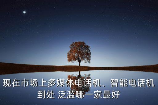 現(xiàn)在市場(chǎng)上多媒體電話機(jī)、智能電話機(jī)到處 泛濫哪一家最好