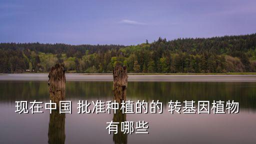 現(xiàn)在中國 批準種植的的 轉基因植物有哪些