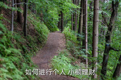 如何進(jìn)行個人 小額理財