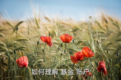 基金交易賬戶和基金賬戶的區(qū)別,醫(yī)保賬戶與醫(yī)?；鹳~戶區(qū)別