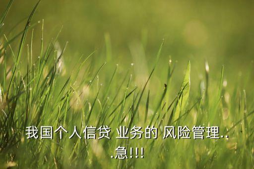 我國個人信貸 業(yè)務的 風險管理...急!!!