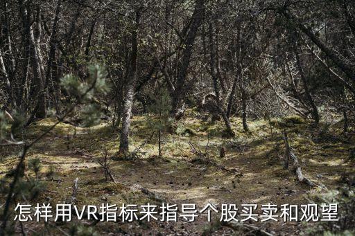 怎樣用VR指標(biāo)來指導(dǎo)個股買賣和觀望