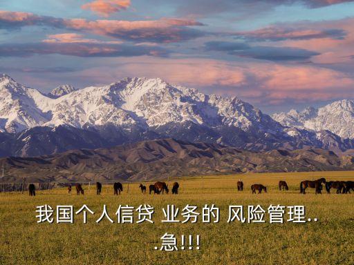 我國個人信貸 業(yè)務的 風險管理...急!!!