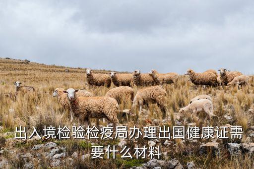 上海出入境海關(guān)查驗(yàn),海關(guān)出入境健康申報網(wǎng)頁版