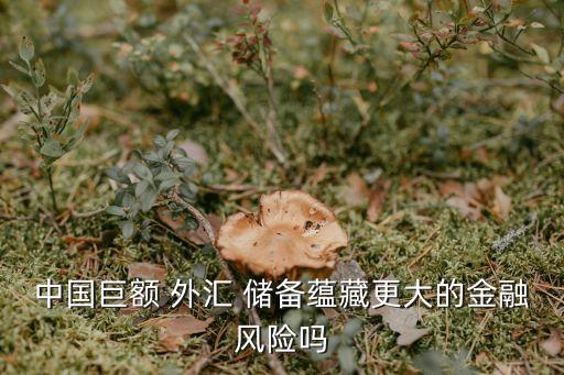 中國巨額 外匯 儲備蘊(yùn)藏更大的金融風(fēng)險(xiǎn)嗎