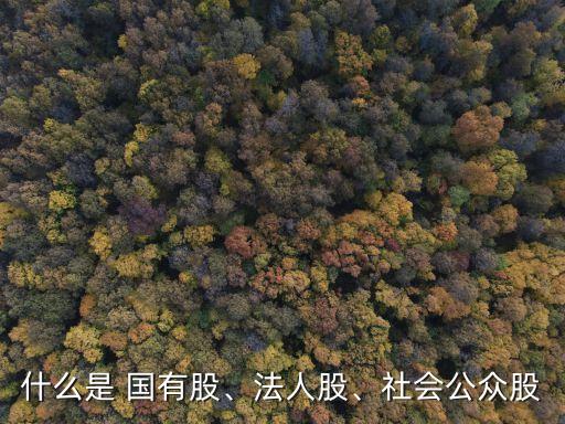 什么是 國有股、法人股、社會公眾股