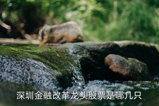 前海泰豐融通金融服務有限公司,前海金牛貸(深圳)互聯(lián)網金融服務有限公司