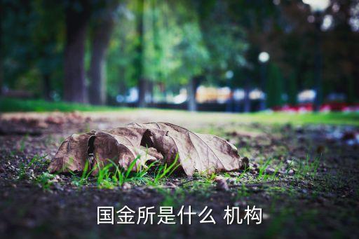 國金所是什么 機構