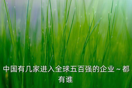 中國有幾家進(jìn)入全球五百強的企業(yè)～都有誰
