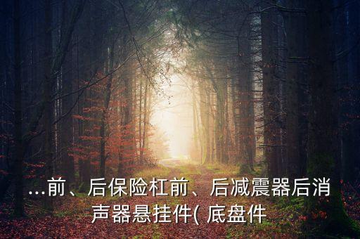...前、后保險(xiǎn)杠前、后減震器后消聲器懸掛件( 底盤件