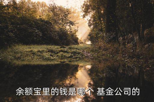 余額寶屬于什么基金,哪個平臺買基金手續(xù)費(fèi)最低
