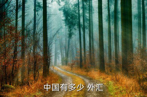 目前中國的外匯儲(chǔ)備是多少億,中國現(xiàn)在還有多少外匯儲(chǔ)備